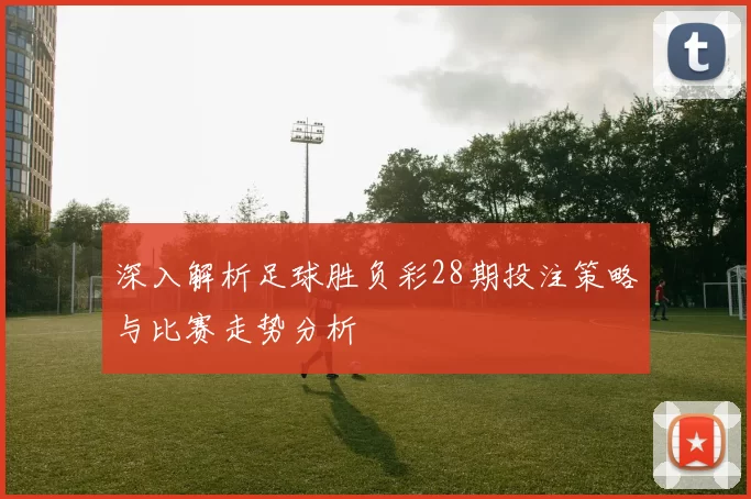 深入解析足球胜负彩28期投注策略与比赛走势分析