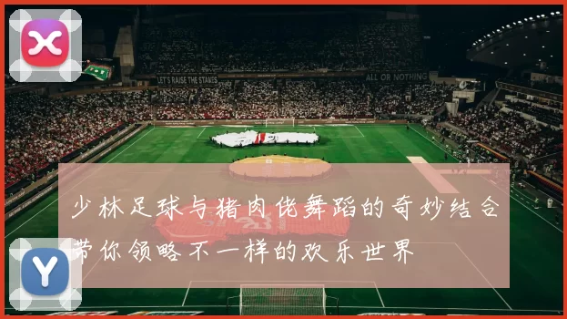 少林足球与猪肉佬舞蹈的奇妙结合带你领略不一样的欢乐世界