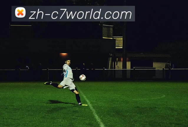 C7娱乐服务体系